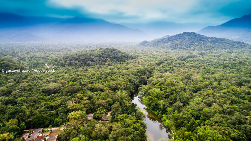 salto-angel-wasserfall-und-co-sehenswertes-im-nationalpark-canaima