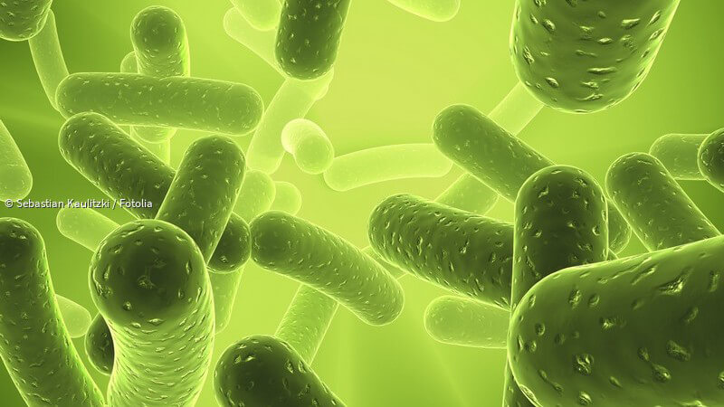 ᐅ Bakterien - Merkmale, Vorkommen und entstehende Erkrankungen
